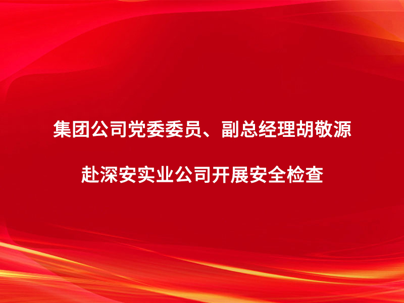 集團(tuán)公司黨委委員、副總經(jīng)理胡敬源赴深...